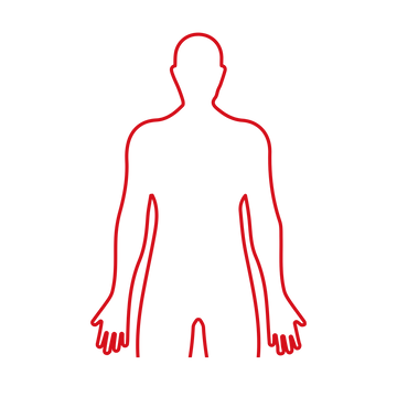 Upper Body