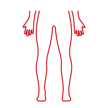 Lower Body
