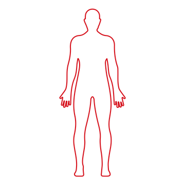 Full Body