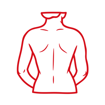 Shoulders & Back