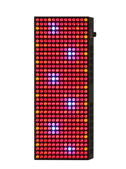 L1 Max